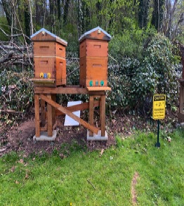 Langstroth beehives with gable roof