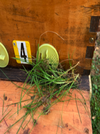 Setting up a new hive - grass at entrance