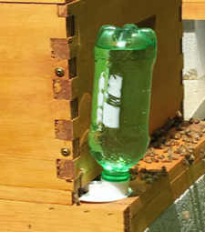 Water at the hive for the bees